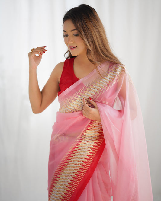 Pure Organza Embellished Zari Border Designer Saree